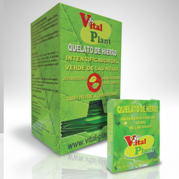 [FERVIT025] QUELATO DE HIERRO 25 GR